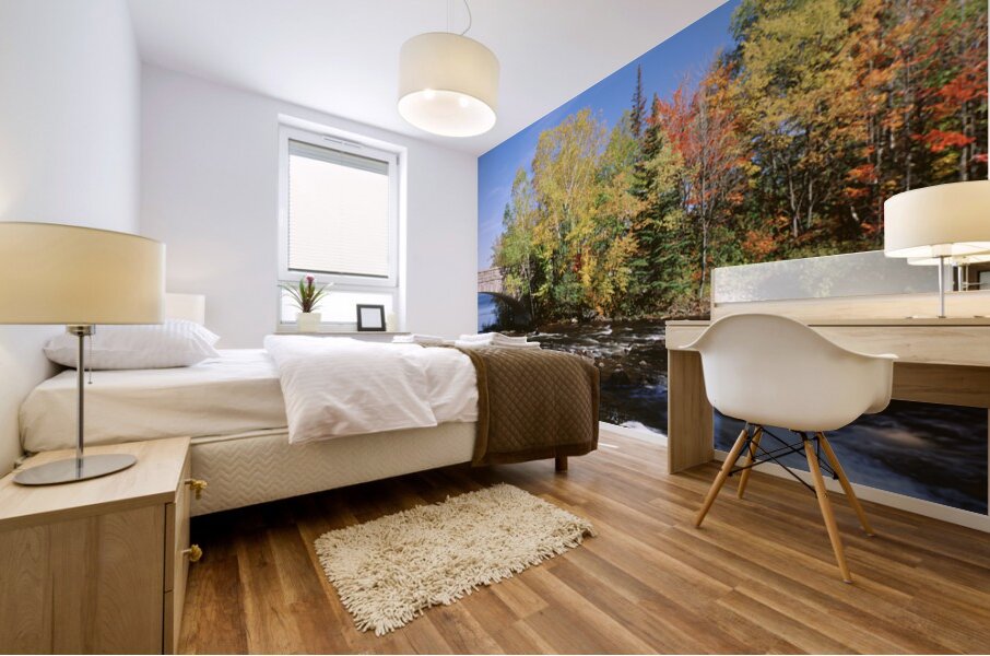 Trees Near A River Bog River New York USA 27398 Mural print