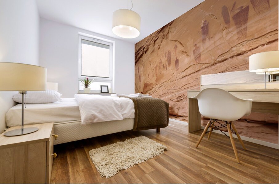 Rock Art Panel Canyon Style Canyonlands National Park UT USA 29818 Mural print