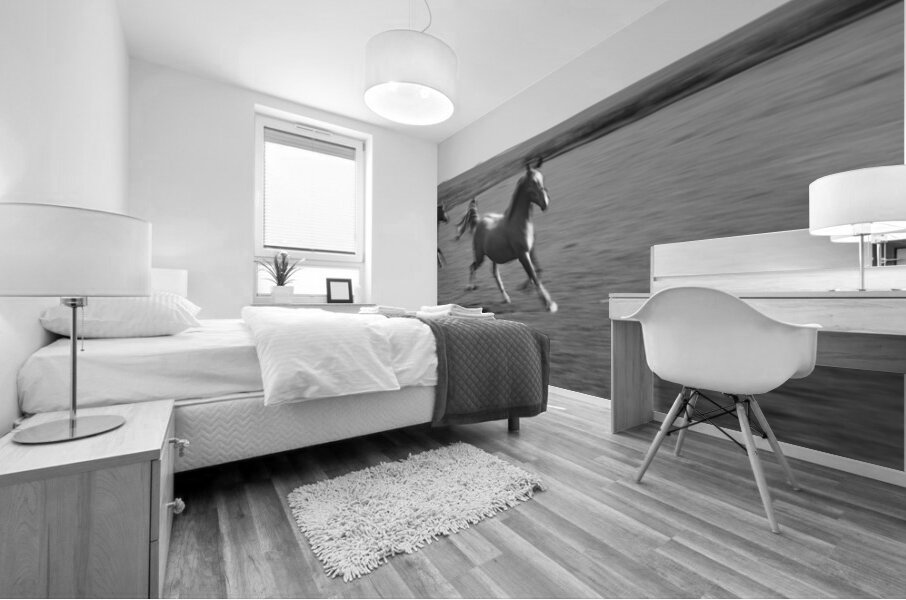 2 Arabian horses running on grassland Stelle Illinois USA 240617 Mural print