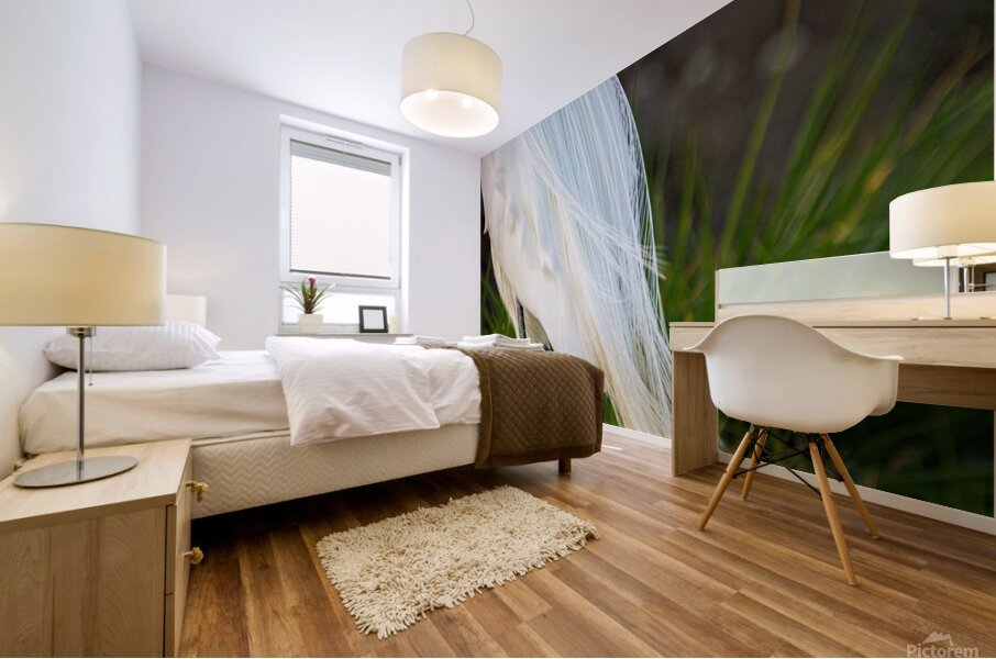 Snowy Egret Silhouette  Mural print