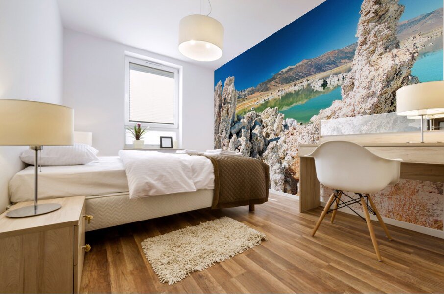 Mono Lake Tufa Salt Lake Mural print