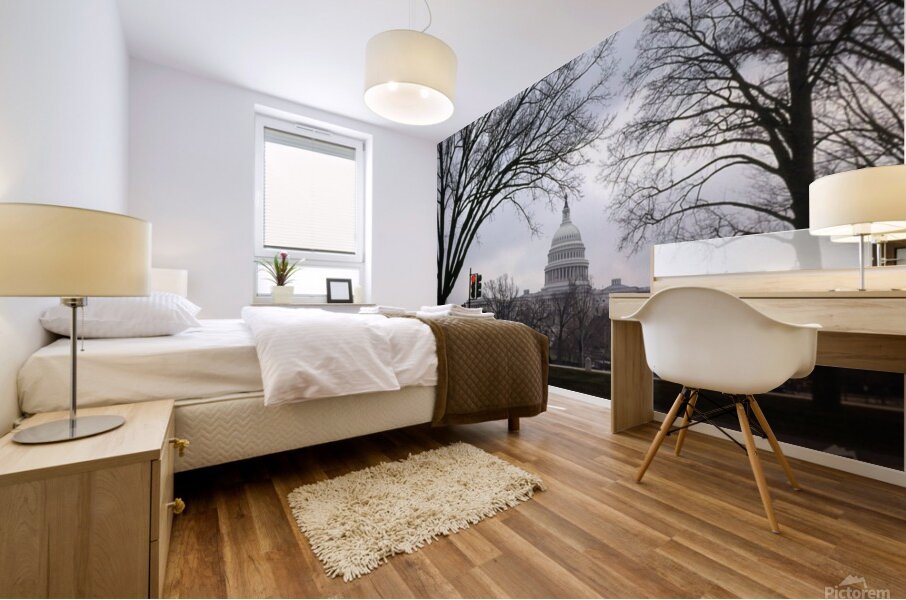 US Capital Bldg. Small Print Mural print