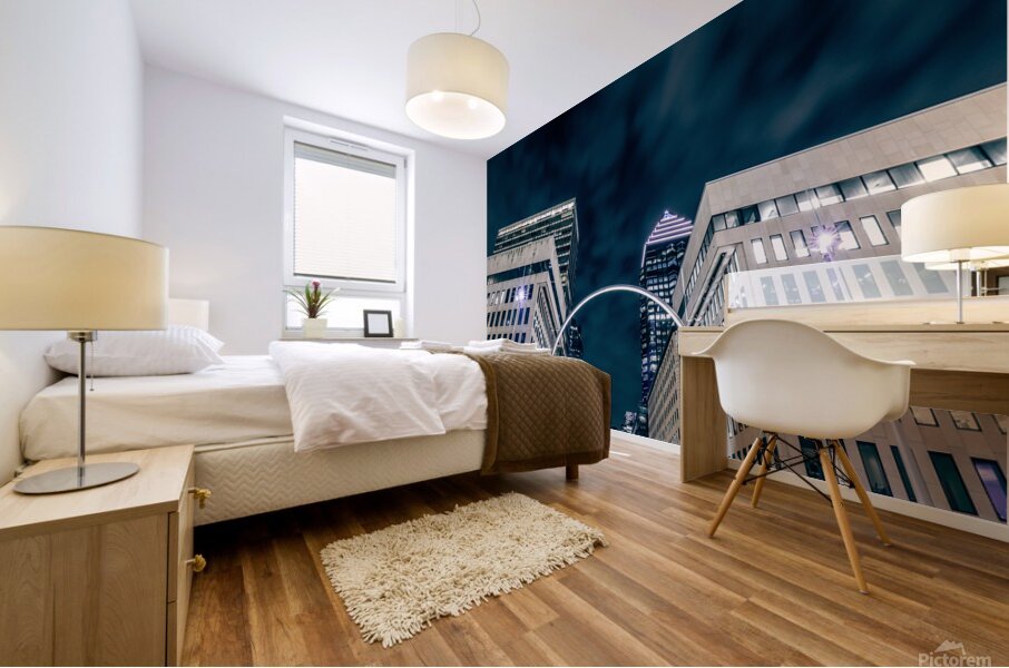 IMG 8470 Mural print