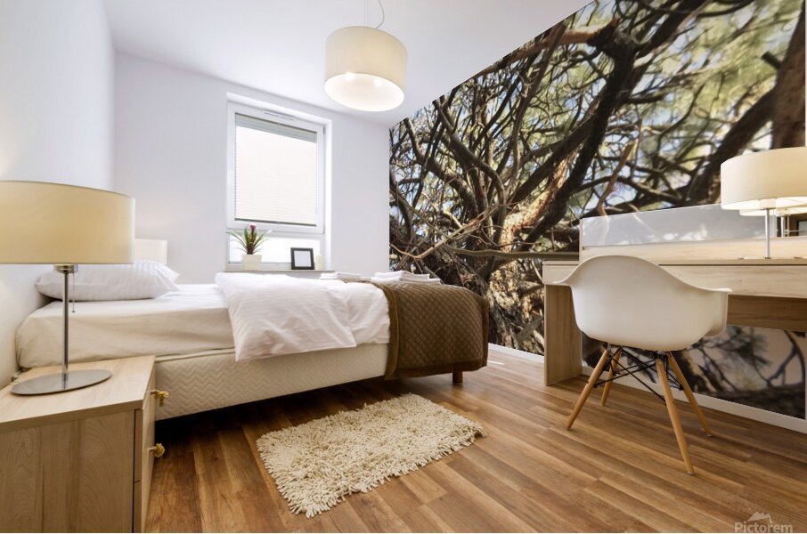 Gnarly Tree Mural print