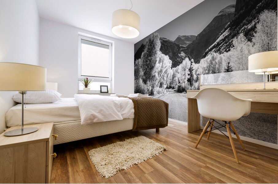 Aspen Backroad Mountain Runner Mural print