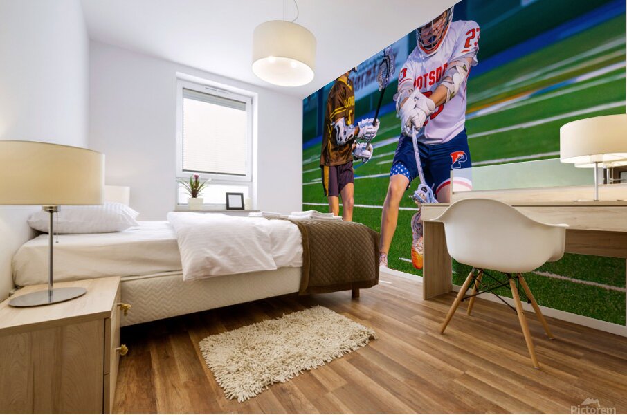  DSC2806 Enhanced NR Mural print