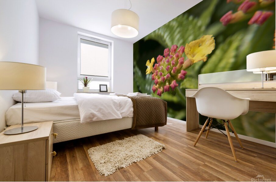 Lantana9EFS Mural print