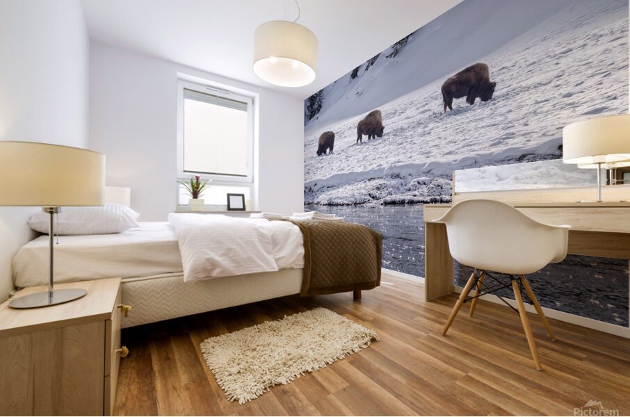 Montana 4 Mural print