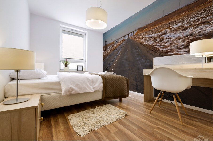 Road to the Cosmodrome Kazakhstan 1 Mural print