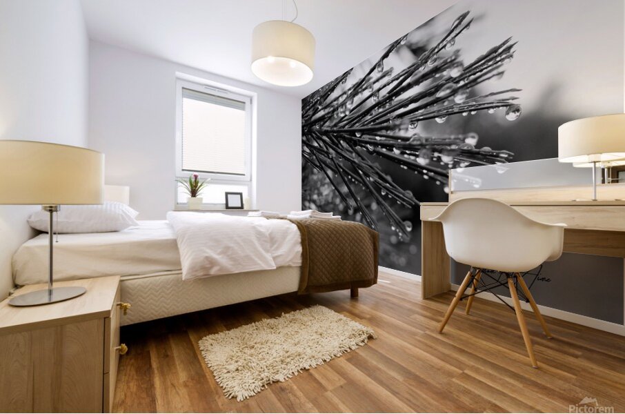 Wet pines Mural print