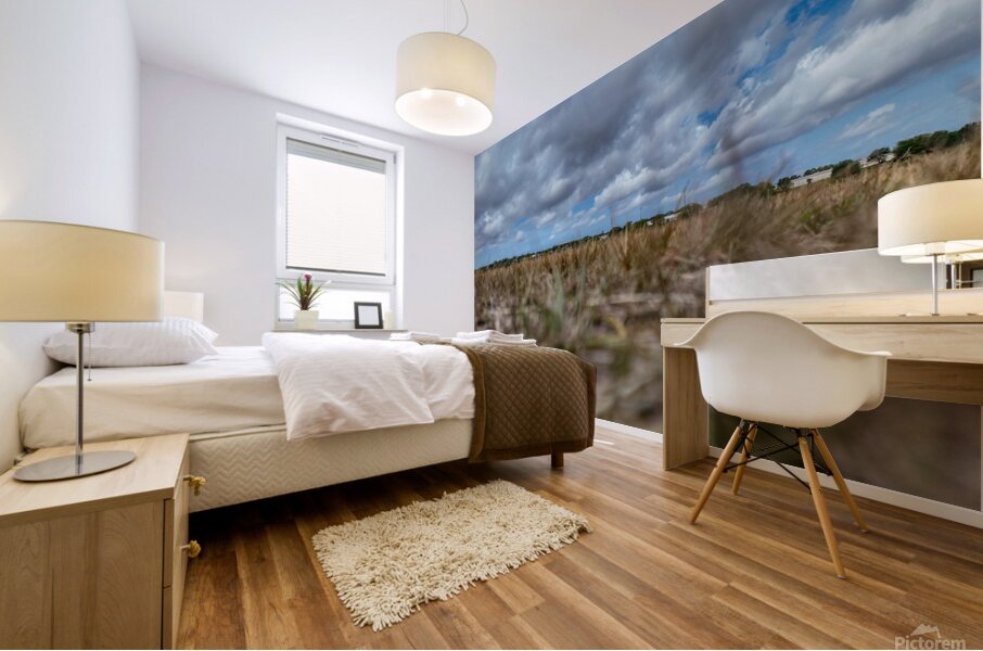 Celery field   Mural print