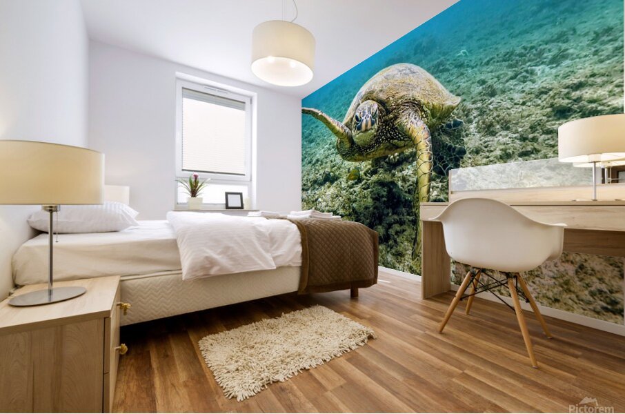 Waving Turtle  Mural print
