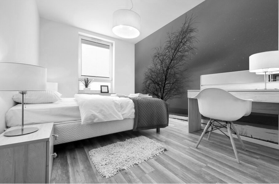 DSC 0274 Mural print