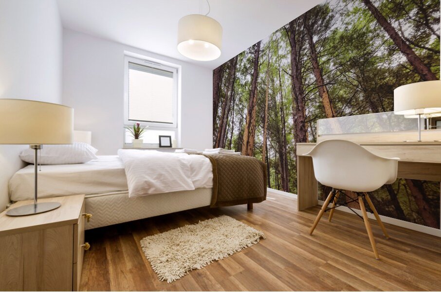 Redwoods Mural print