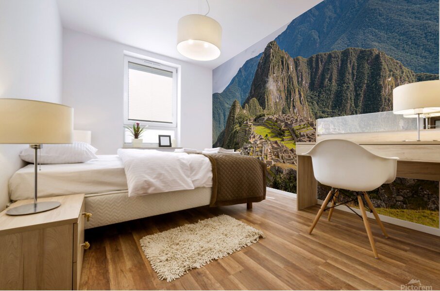 DSC 5025 Mural print