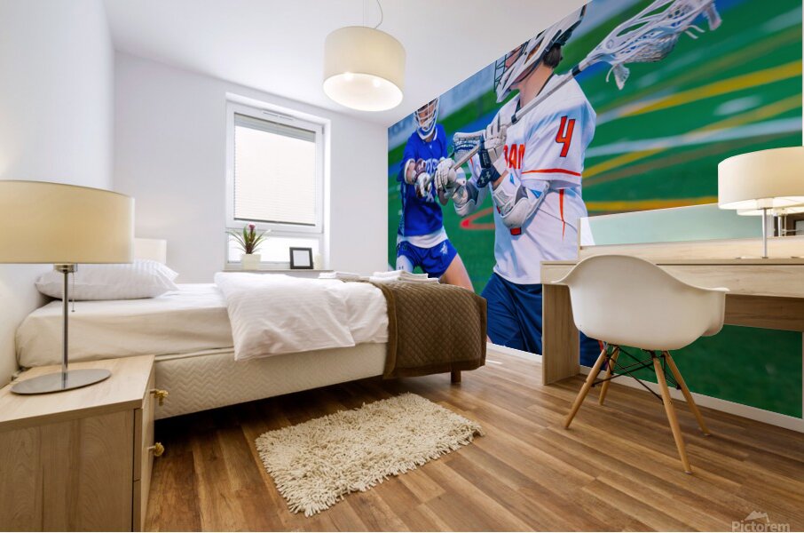  DSC3015 Enhanced NR Mural print