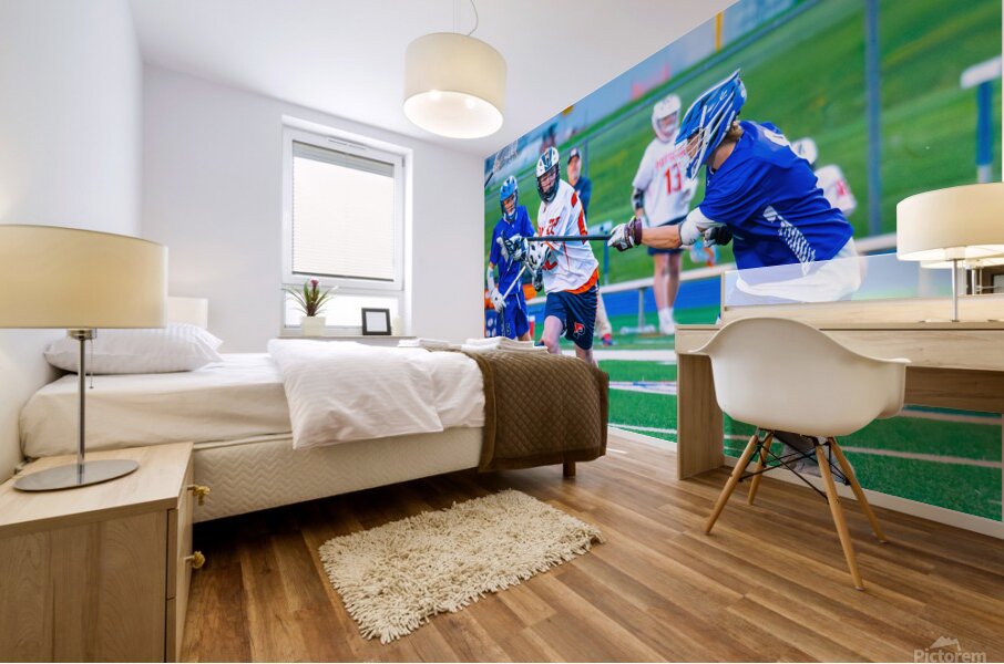  DSC3046 Enhanced NR Mural print