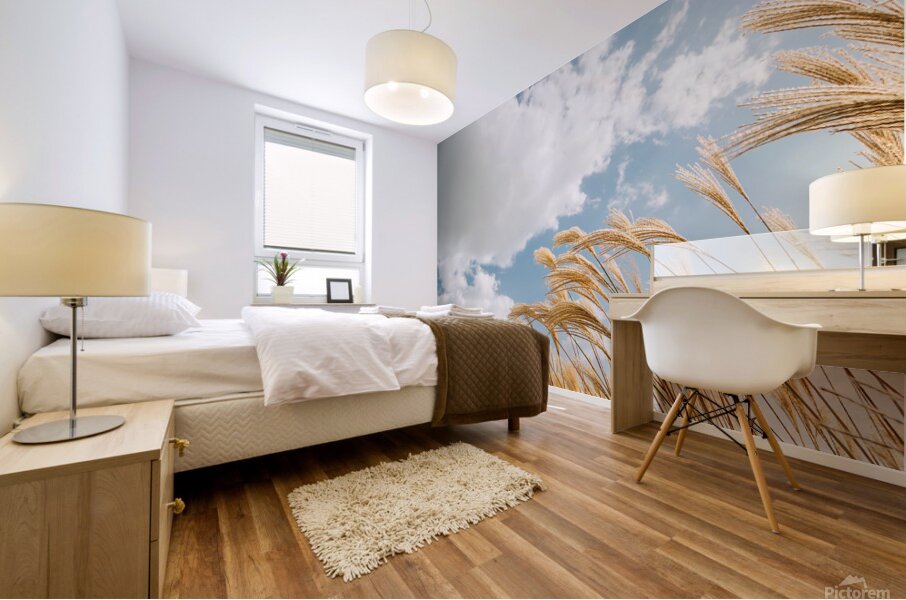 Autumn reeds Mural print