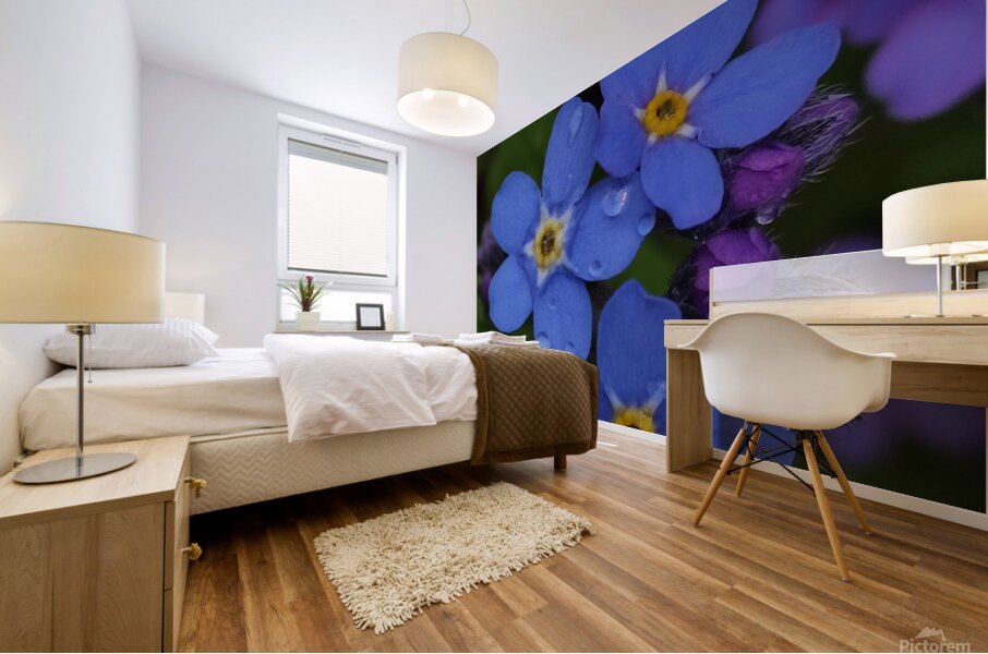 IMG 20240418 173857 Mural print