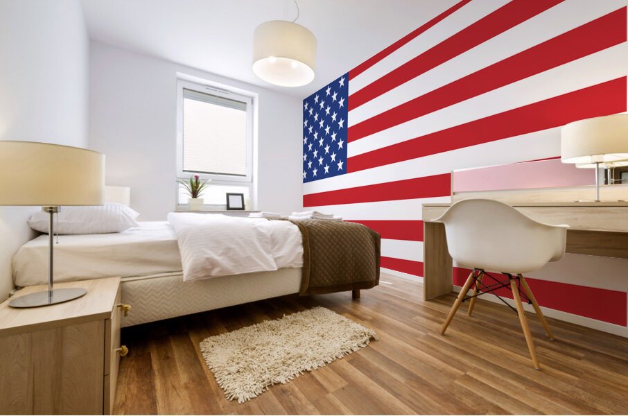 60x30 flag Mural print