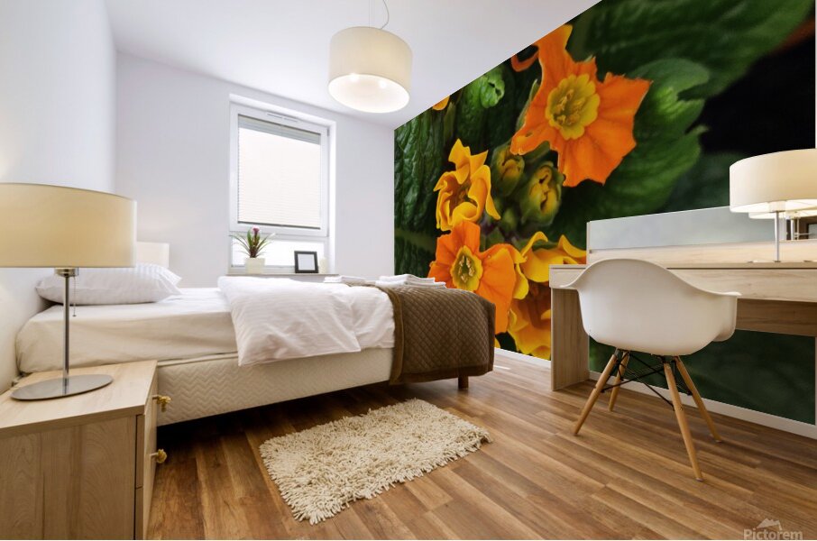 IMG 20240410 122004 Mural print