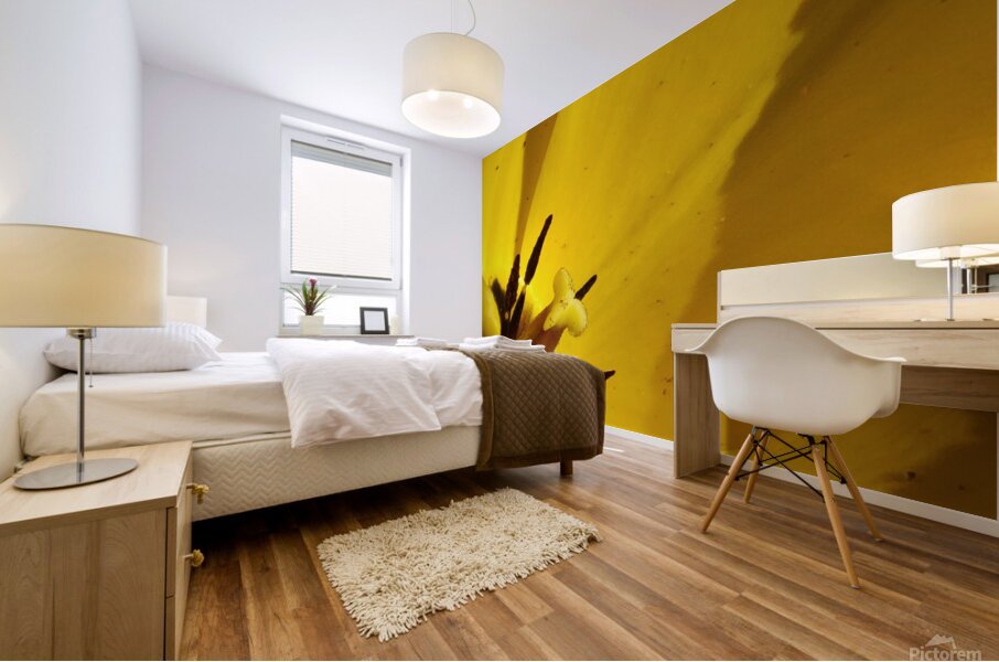 IMG 20240411 145209 Mural print