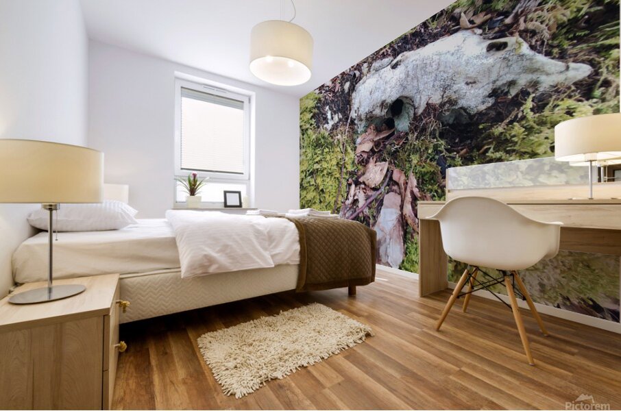 .trashed 1717284546 IMG 20240420 172757 Mural print