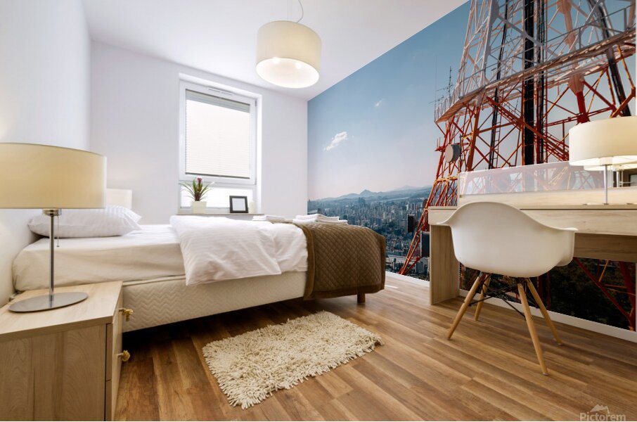 Seoul cityscape Mural print