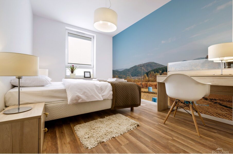 Autumn paddy field Mural print