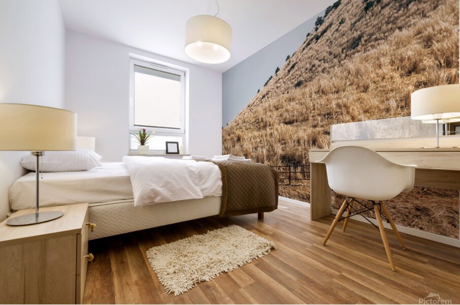 Horse on dry grass field Mural print