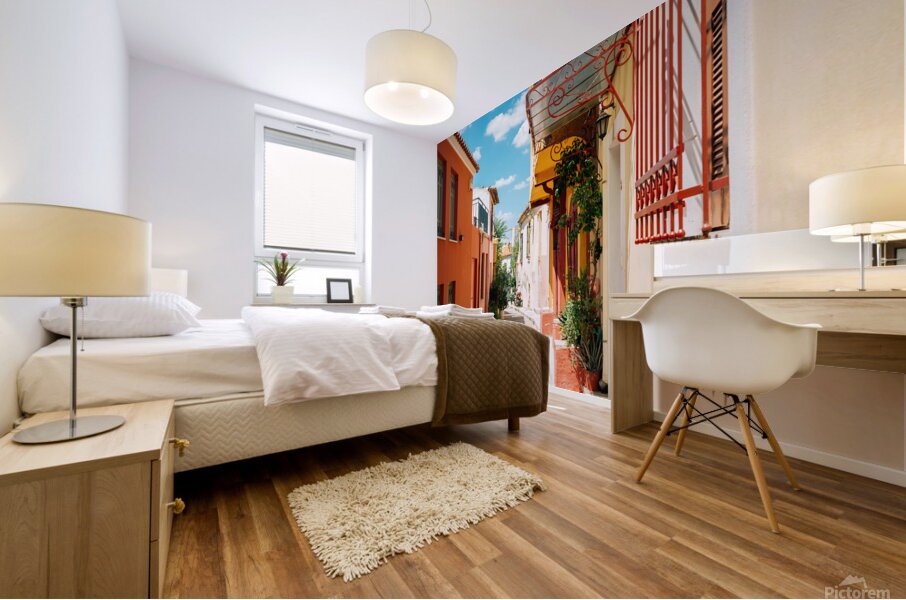 Athens Plaka Mural print