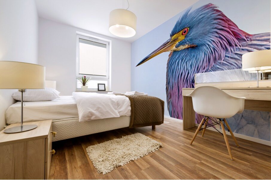 Tri Colored Heron Mural print
