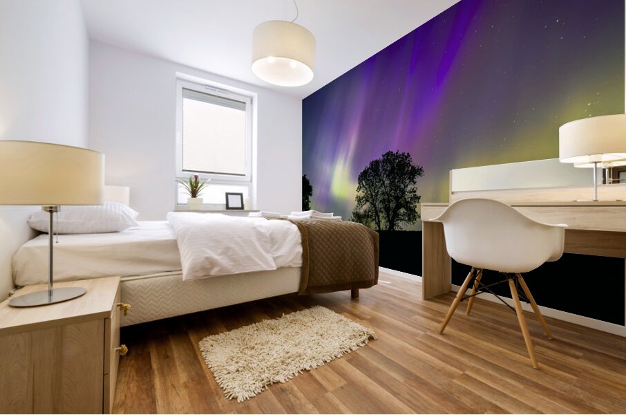 Lone Tree Under Aurora Glow Mural print