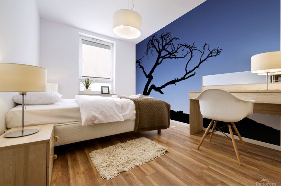 Crows Nest Limber Pine Mural print