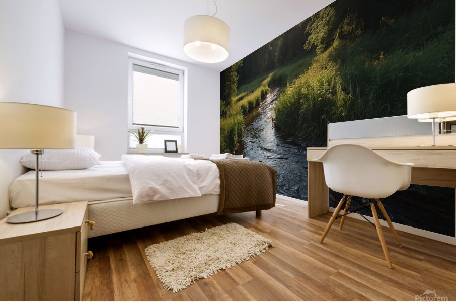 summer folest brook Mural print