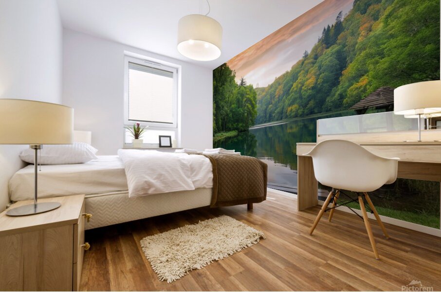 nature photo Mural print