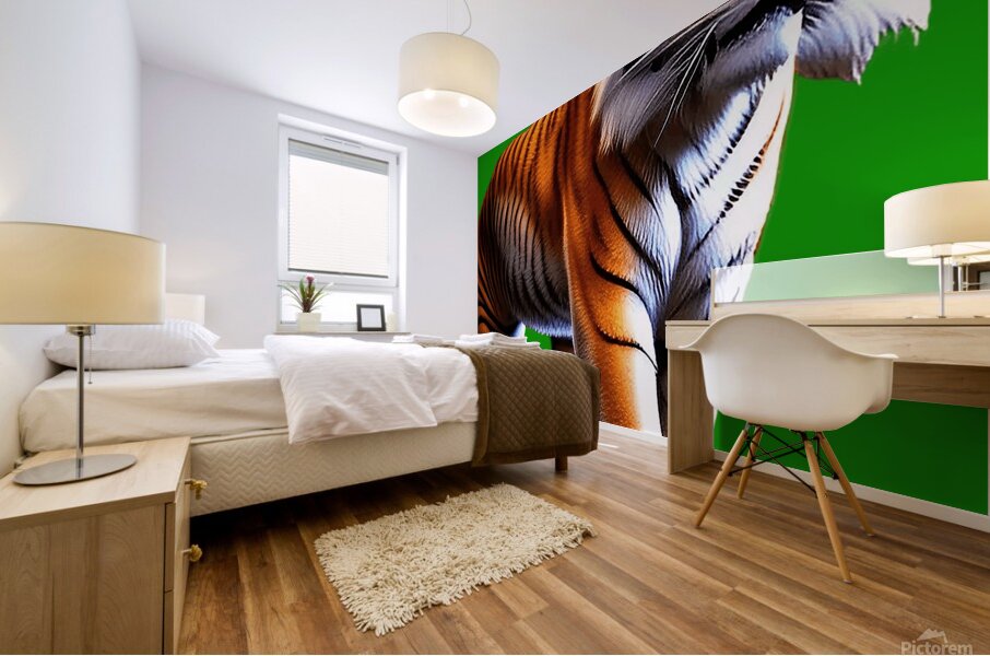 Tiger walking Mural print