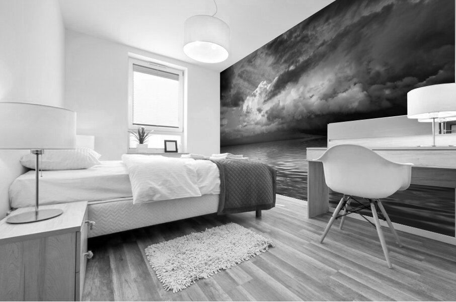 Stormy Nights in Mono Mural print