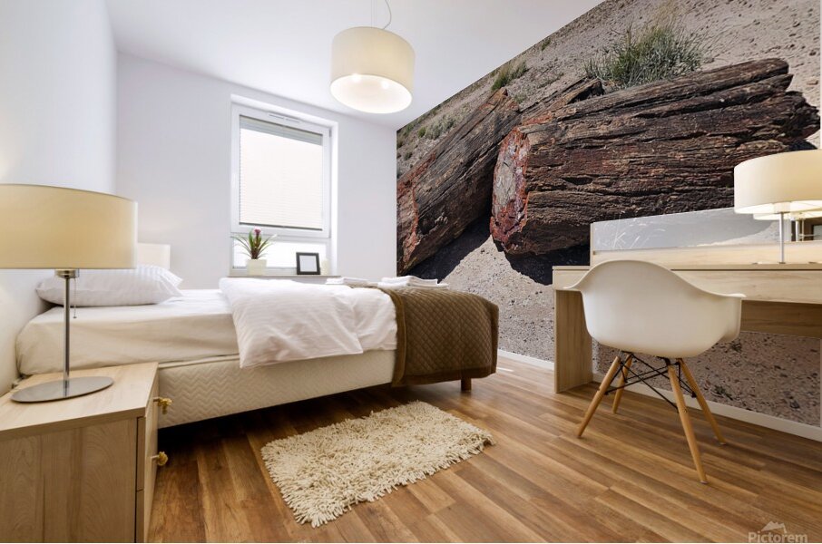 20240412 122857 Mural print