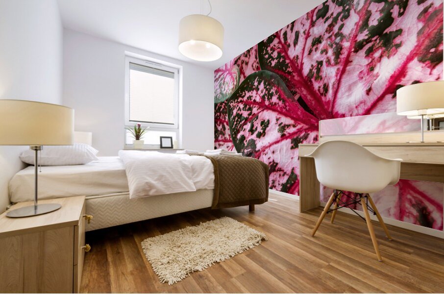 Red Caladium Plants Araceae  2 Mural print