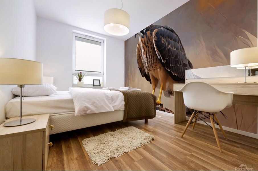 Northern Harrier Mural print