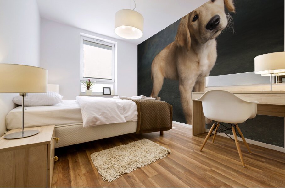Studio portrait of Golden Retriever puppy 208376 Mural print