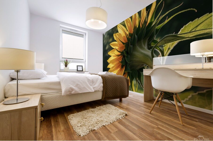 a close up photograph of a vibrant sunflower in f Mural print