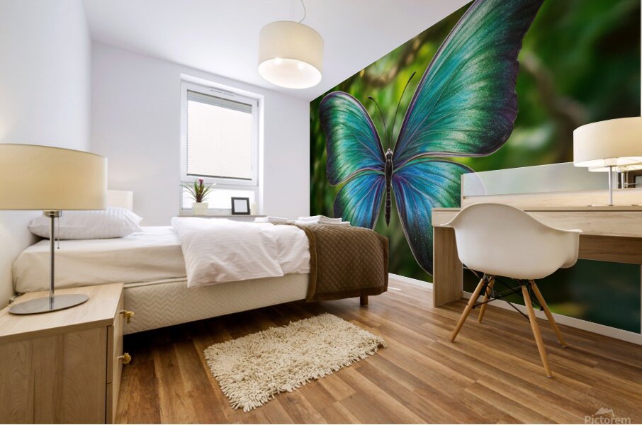 vibrant butterfly Mural print