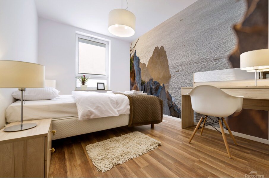 DSC02928 Mural print