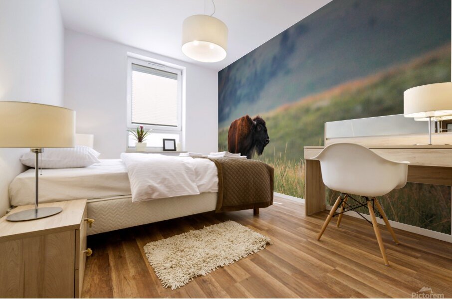 DSC00443 Enhanced SR Mural print