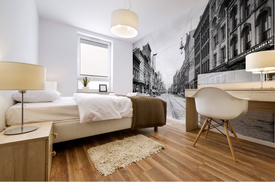 Knoxville TN Early 1900s Mural print