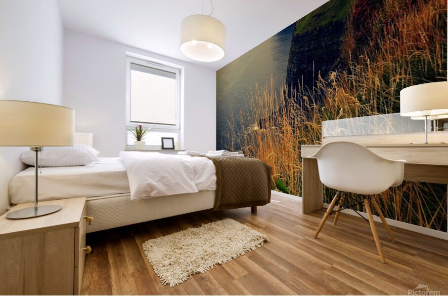 The Cliffs of Moher Ireland Mural print