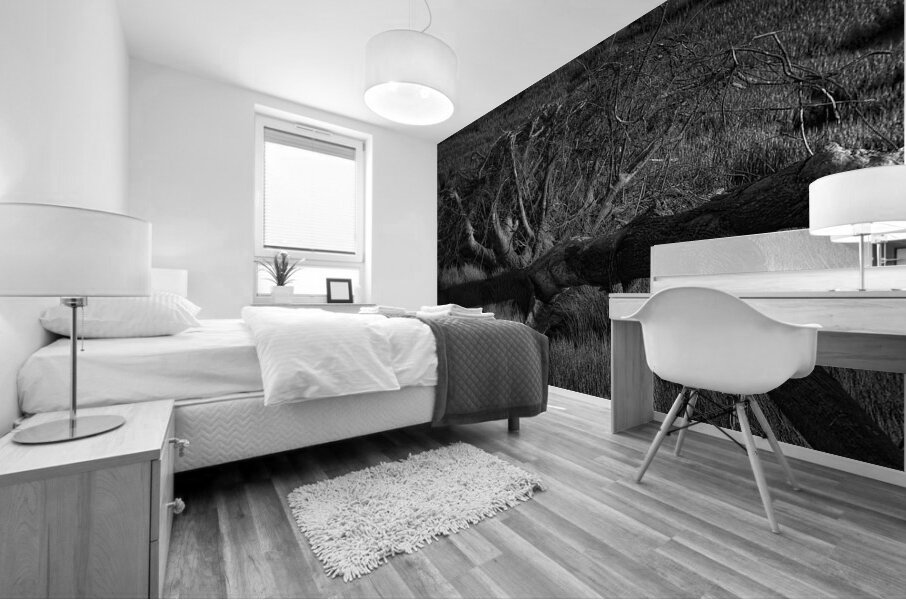 FS240430BW Mural print