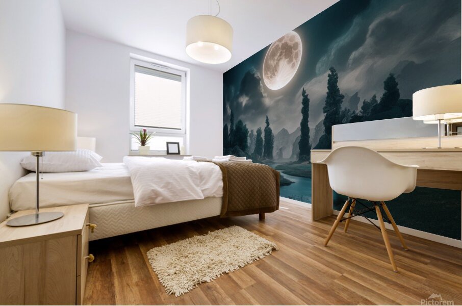 Full moon  Mural print
